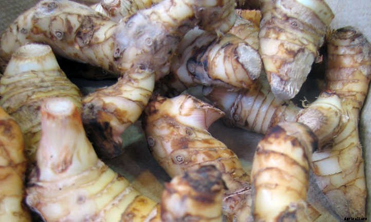 33 Asian Vegetables You Should Grow