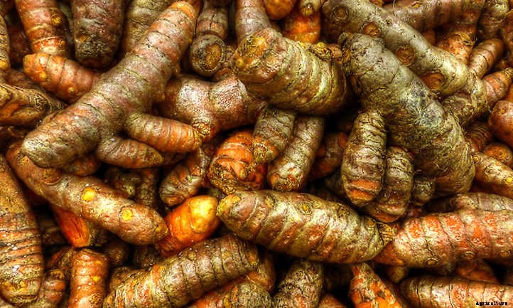 33 Asian Vegetables You Should Grow