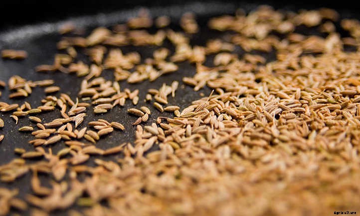 33 Asian Vegetables You Should Grow