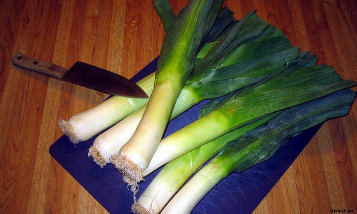 33 Asian Vegetables You Should Grow