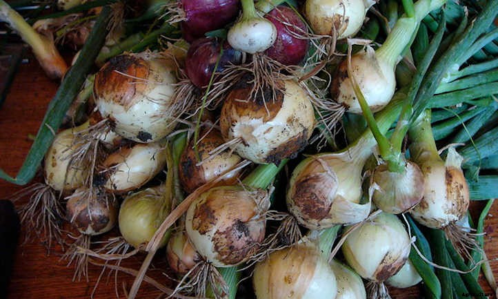 33 Asian Vegetables You Should Grow