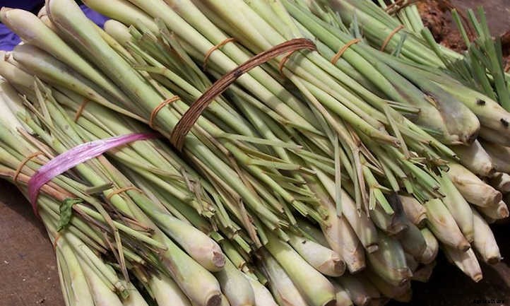 33 Asian Vegetables You Should Grow