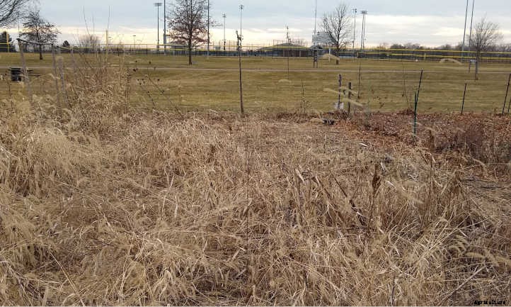 No Dig Garden Bed: Good Soil With Less Work