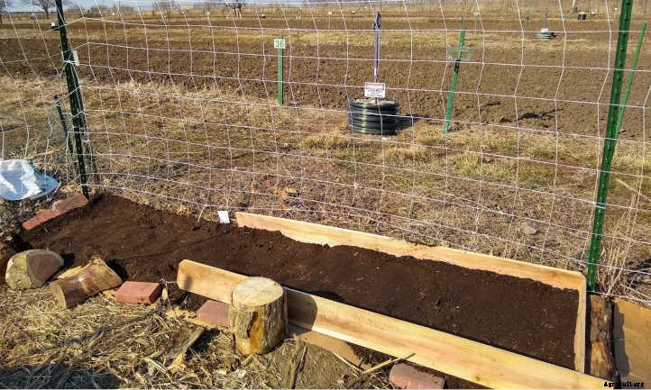 No Dig Garden Bed: Good Soil With Less Work