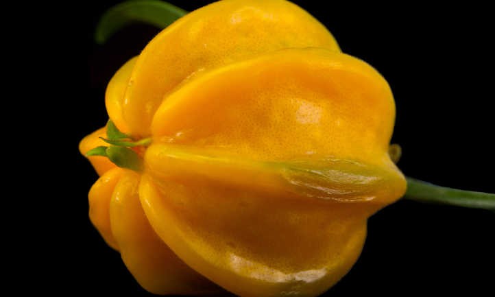 Pitangatuba: The Unique Star Cherry