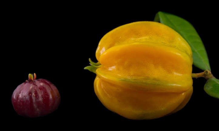 Pitangatuba: The Unique Star Cherry