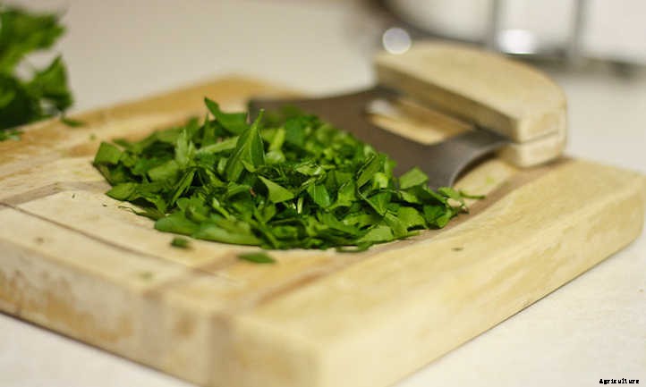 How To Harvest Parsley & Store It For Later