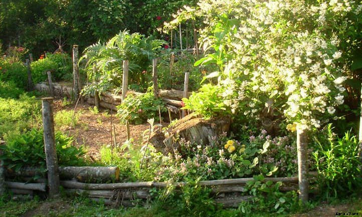 Raised Bed On A Slope: How To Do It Right