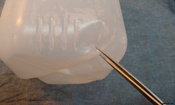 Winter Sowing Gets Plants Started Quickly