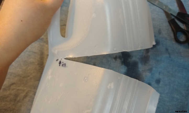 Winter Sowing Gets Plants Started Quickly