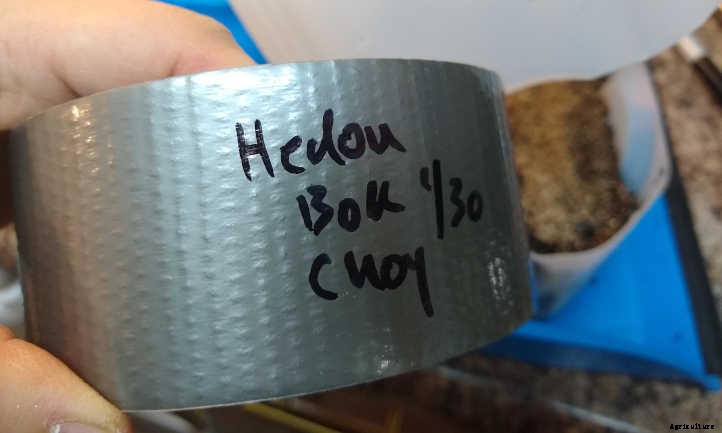 Winter Sowing Gets Plants Started Quickly