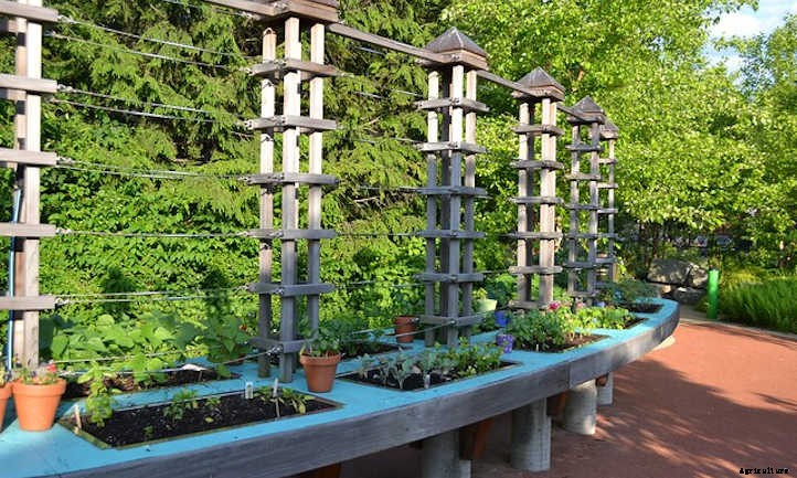 Raised Bed Trellis Ideas For Saving Space