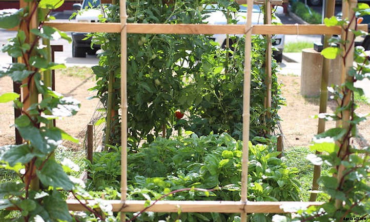 Raised Bed Trellis Ideas For Saving Space