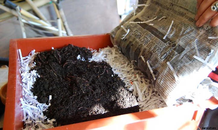 Worm Tower DIY: Compost Your Excess Waste