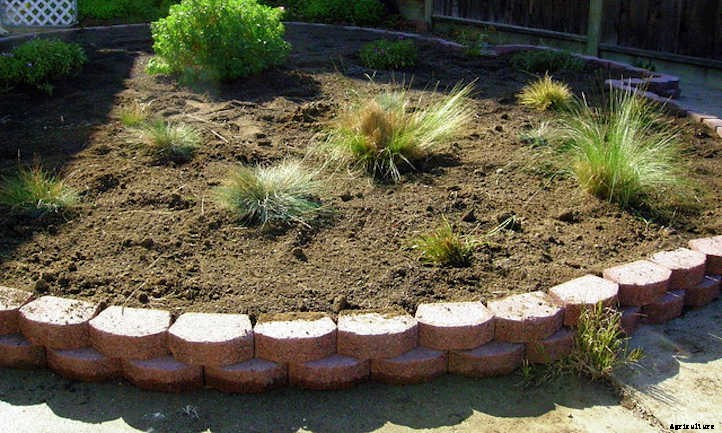 Raised Bed On Concrete: Yes Or No?