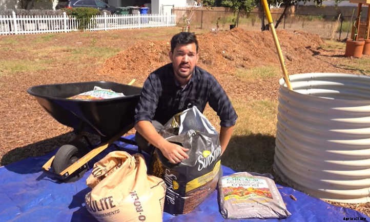 Organic Raised Bed Soil: Setting Up For Success