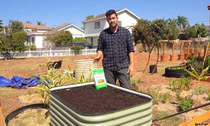 Organic Raised Bed Soil: Setting Up For Success