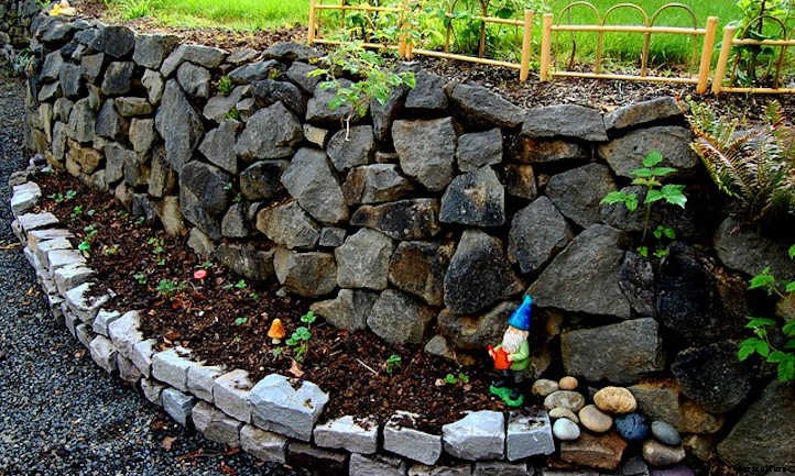 Raspberry Raised Bed Tips: Getting Things Growing