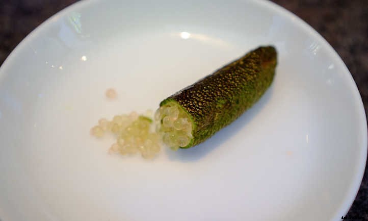 10 Lime Tree Varieties You Should Consider