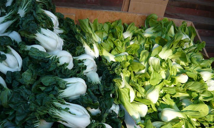 Growing Bok Choy: A Stir Fry Champion