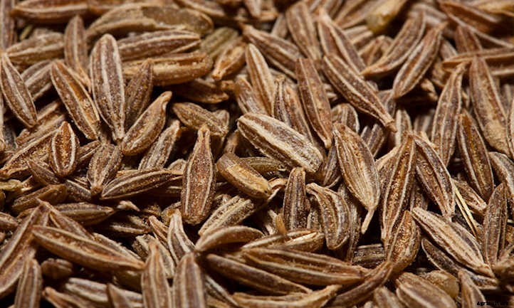 Growing Cumin To Spice Up The Garden