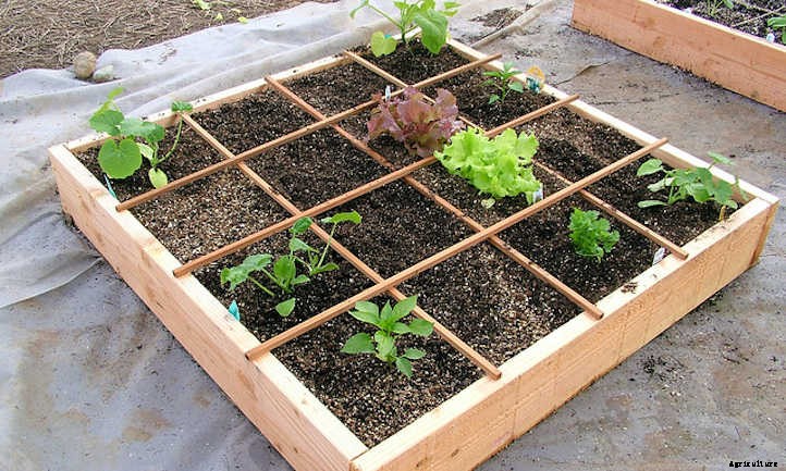 How To Space Vegetables In A Raised Bed
