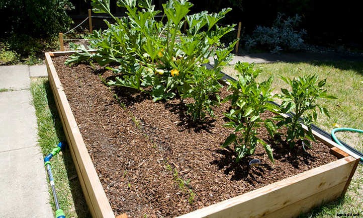 How To Space Vegetables In A Raised Bed
