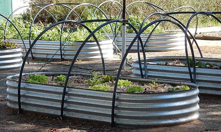 Raised Bed Hoop House For Your Raised Bed