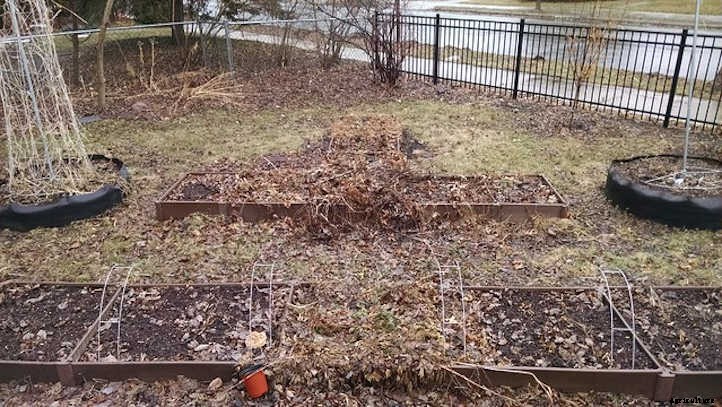 Asparagus Raised Bed: Dedicate A Permanent Plot