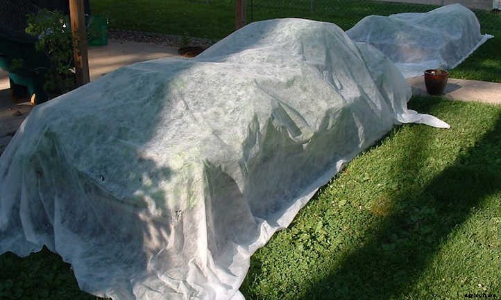 Raised Bed Covers: Ultimate Plant Protection