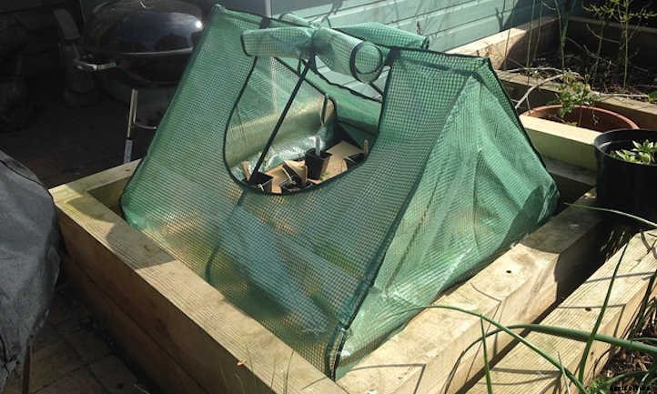 Raised Bed Covers: Ultimate Plant Protection