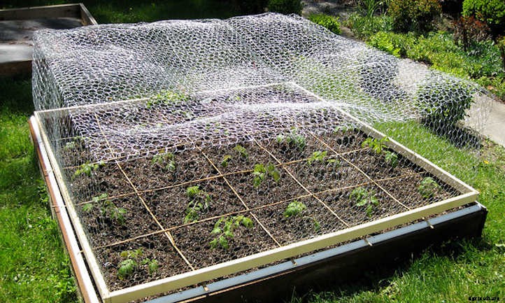 Raised Bed Covers: Ultimate Plant Protection