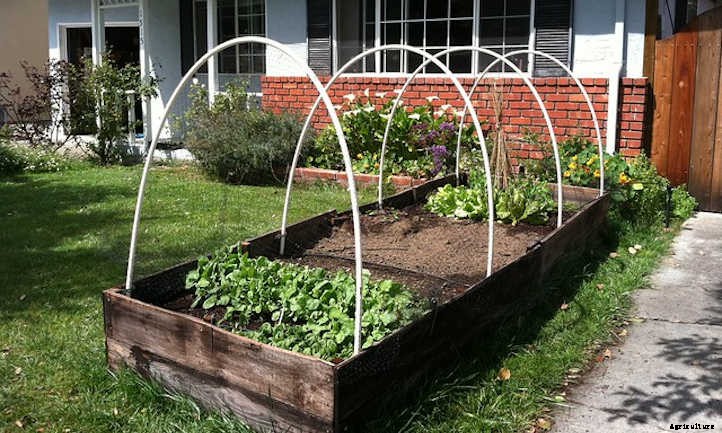 Raised Bed Covers: Ultimate Plant Protection
