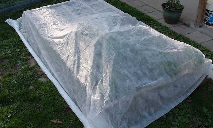 Raised Bed Covers: Ultimate Plant Protection
