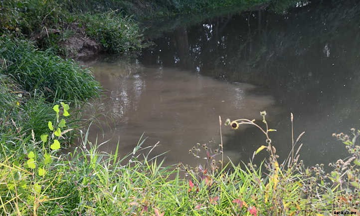 Silty Soil Suggestions: Amending & Improving Silt