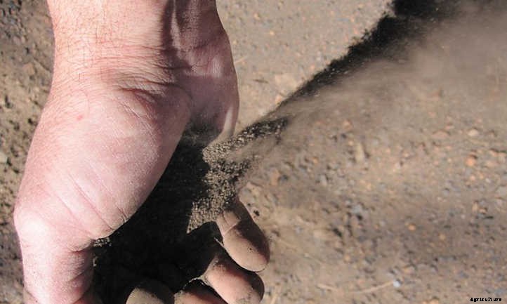 Silty Soil Suggestions: Amending & Improving Silt