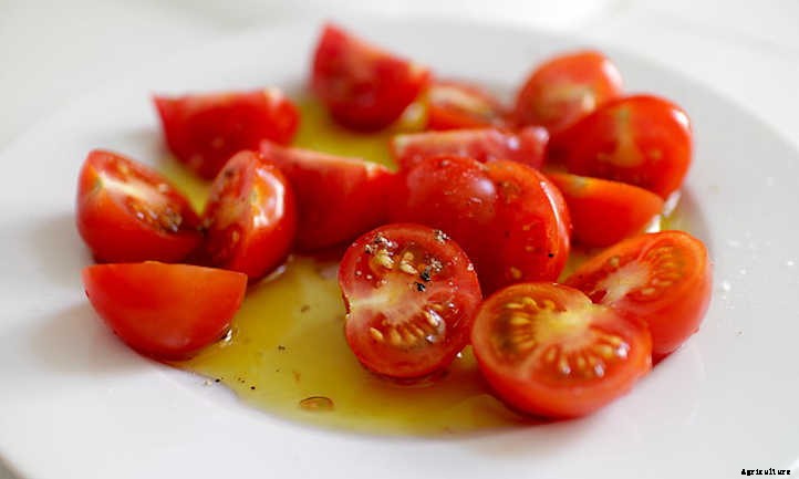 How To Save Tomato Seeds For Next Year