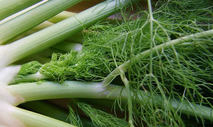 20 Mediterranean Herbs To Grow In Your Garden