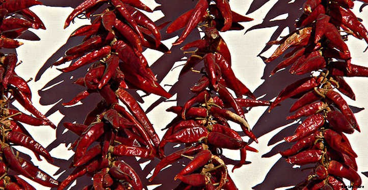 20 Mediterranean Herbs To Grow In Your Garden