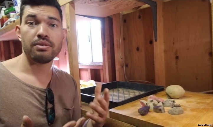 Spectacular Spuds: How to Grow Potatoes