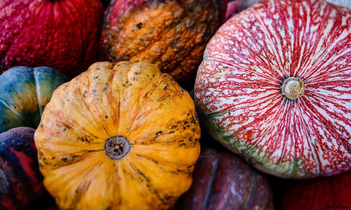 Growing Winter Squash: Fall’s Favorite Food