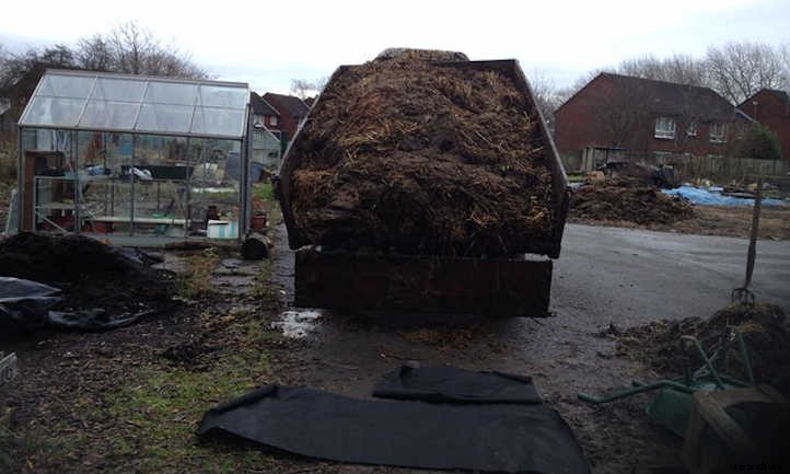 Cow Manure: How to Turn Poop into Peat