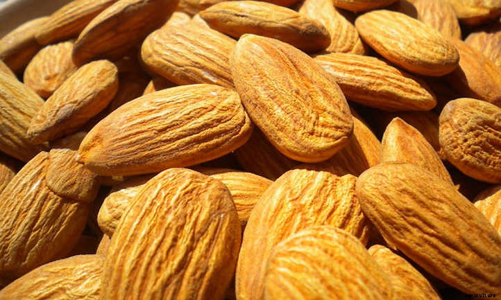 Almond Tree: Growing Your Favorite Snack