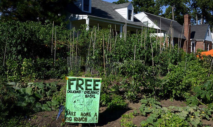 20 Best Crops For A Survival Garden