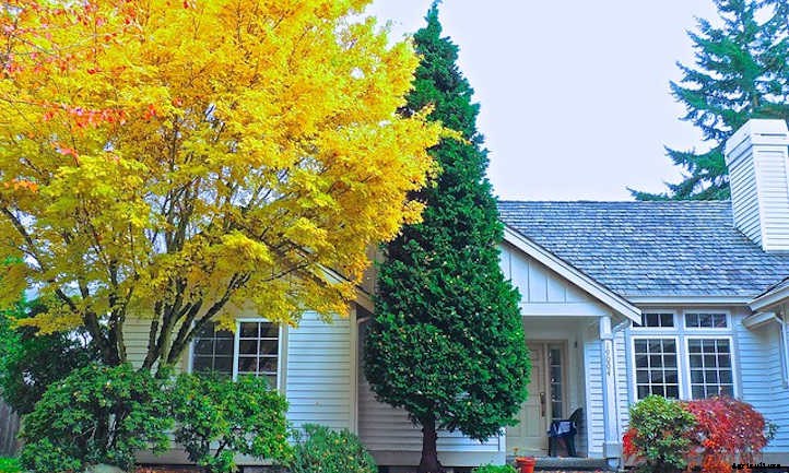 12 Columnar Trees You Must Grow