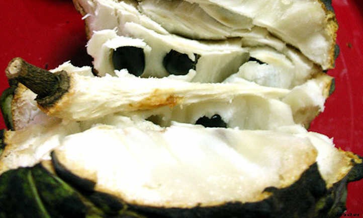 Atemoya Tree: A Mini Soursop With Big Flavor
