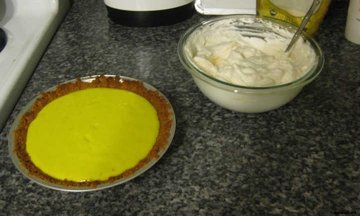 Key Lime Tree: Grow Your Own Pie