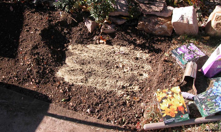 Bone Meal: Here’s What You Need to Know