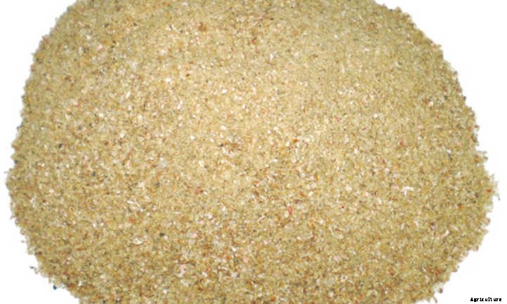 Bone Meal: Here’s What You Need to Know