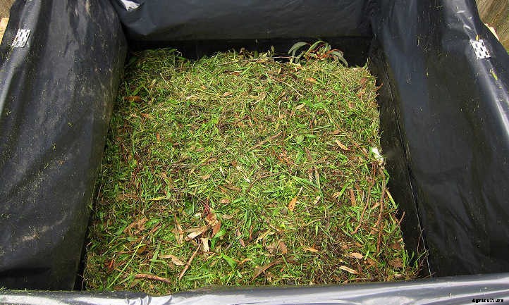 How to Use Grass Clippings In the Garden